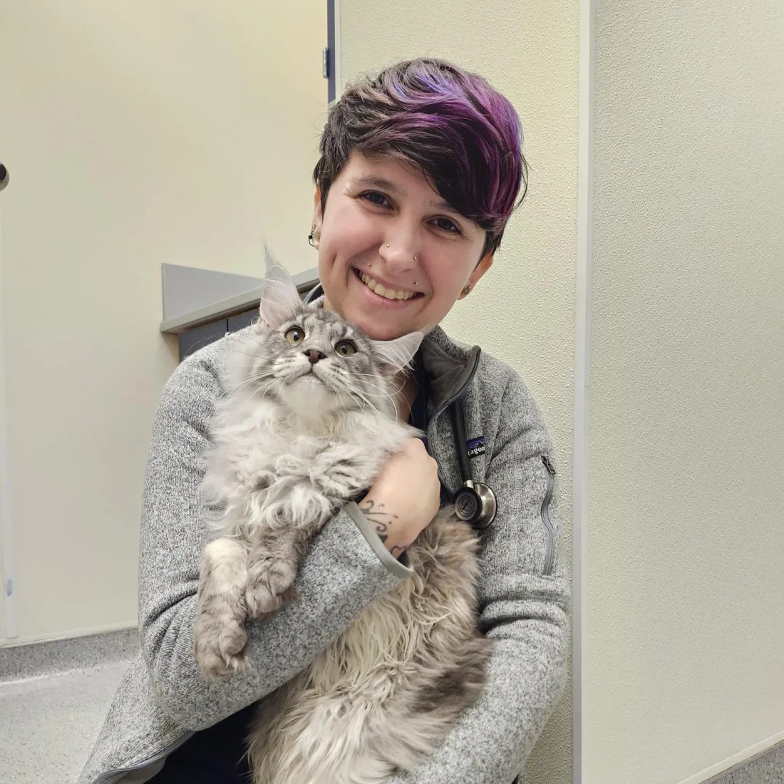 Smiling staff member with purple hair holding a fluffy cat at clinic