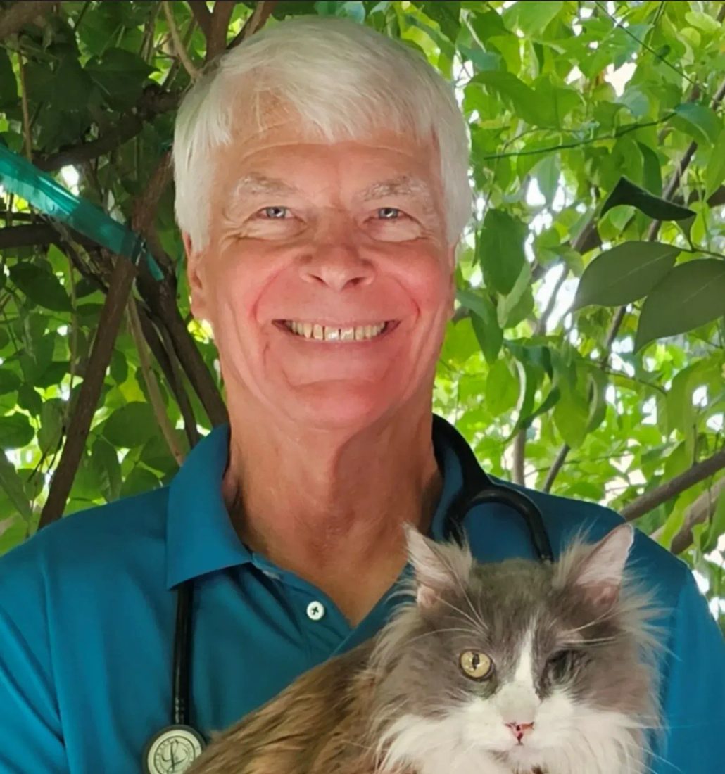 Smiling veterinarian holding a fluffy cat outdoors among green leaves
